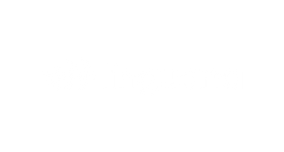 Linguana - Creator translation services